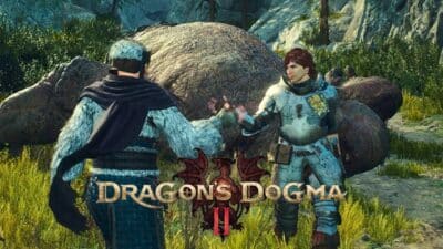 dragon dogma pions