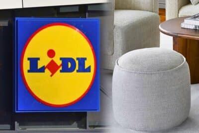 lidl pouf