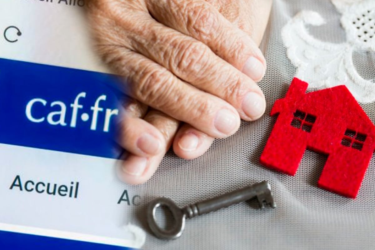 caf apl logement