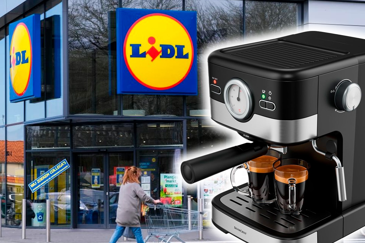 cafetiere lidl