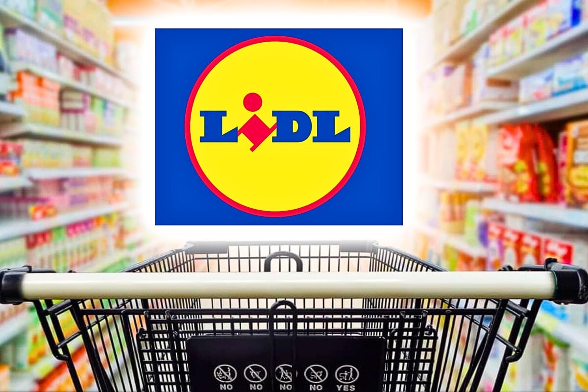lidl course rayon nourriture
