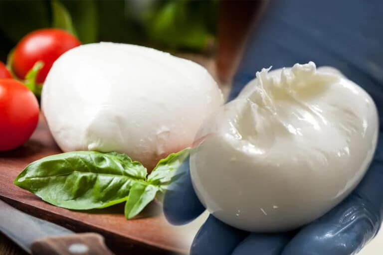 mozzarella contamine
