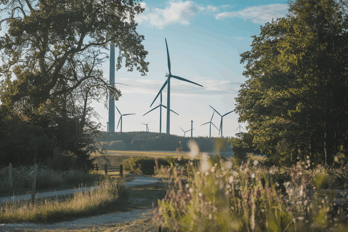 Éoliennes et environnement  Découvrez la vérité sur leur impact