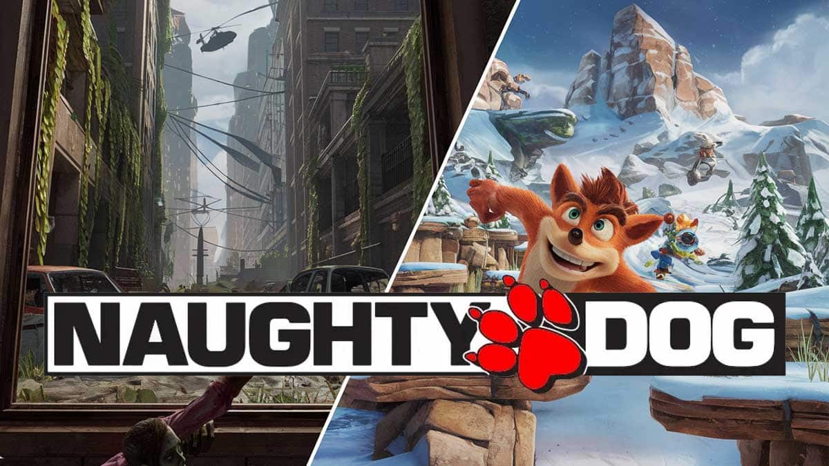 vente naughty dog